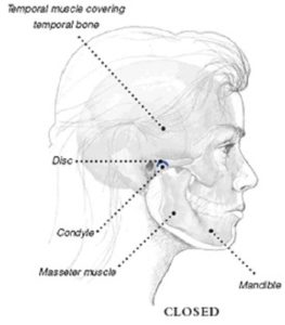 Diagram of a face showing the temporomandibular joint